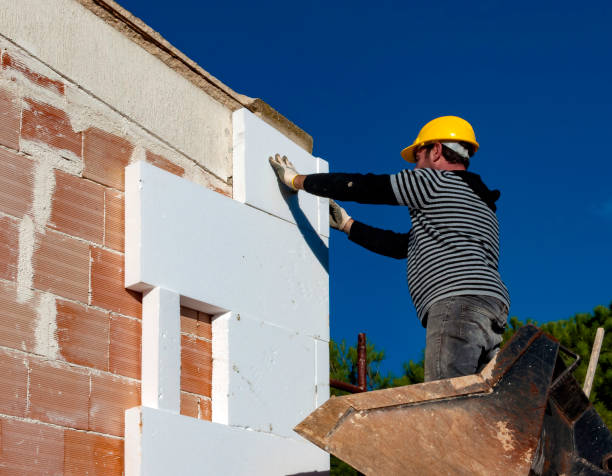 Best Insulation Installation Services in Goose Creek, SC