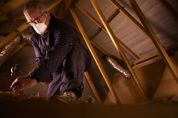 Best Types of Insulation in Goose Creek, SC